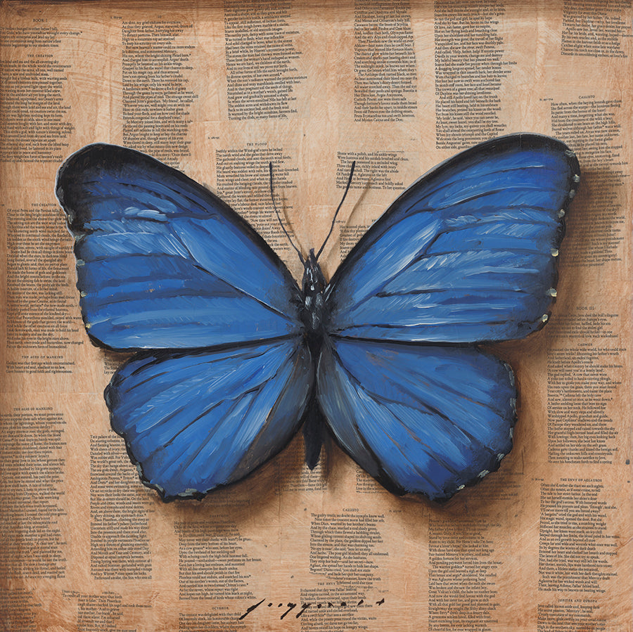 Butterfly
